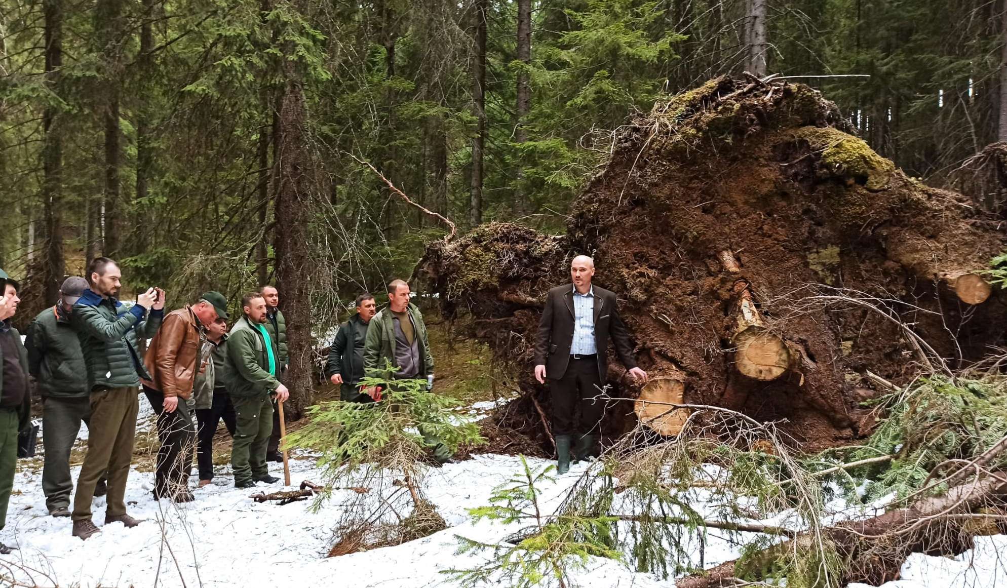 stomach ache mordant Duchess Un nou sistem de marcat arbori, prezentat la Ocolul Ghimeș-Făget. Concluzii  - ForestMania