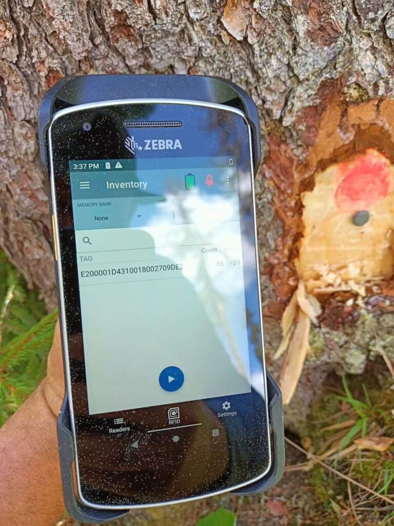 Manhattan Gooey variable Premieră în România: La Ghimeș-Făget s-a făcut prima marcare de arbori cu  tehnologie RFID - ForestMania
