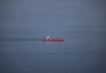 ANALIZĂ. Criza din Iran lovește direct exporturile românești de cherestea de rășinoase: Analiza HOLZKURIER și impactul asupra României