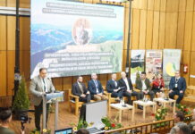Strategii pentru viitorul silviculturii: Miercurea-Ciuc găzduiește a patra ediție a Conferinței Administratorilor și Proprietarilor de Păduri
