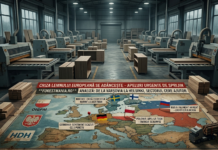 Furtuna perfectă în industria lemnului: Europa, între falimente iminente și apeluri disperate către guverne