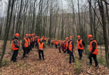 Adio, ciocan silvic! Silvicultura românească intră în era preciziei digitale