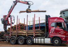 Criza din Orientul Mijlociu lovește dur industria finlandeză a cherestelei: logistică scumpită, piețe blocate și incertitudine generală