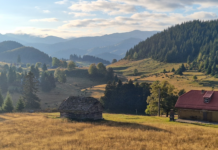 ASFOR propune cinci corecții tehnice la Proiectul de Ordin privind Zonele Prioritare pentru Biodiversitate