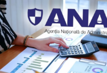 ANAF Brașov: Ghid complet pentru impozitarea veniturilor din silvicultură în 2026. Ce trebuie să știe proprietarii de păduri și silvicultorii