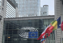 VICTORIE A DIPLOMAȚIEI ASFOR LA BRUXELLES: Datele din SUMAL vor fi integrate direct în sistemul european pentru EUDR. Povara administrativă scade cu 75%