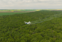 Romsilva a efectuat în această primăvară lucrări de combatere a omizilor defoliatoare pe o suprafață de peste 2.700 de hectare fond forestier