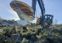 Revoluție în reîmpăduriri: ELMAS aduce în România tehnologia Risutec, pentru o productivitate de până la 250 de puieți pe oră